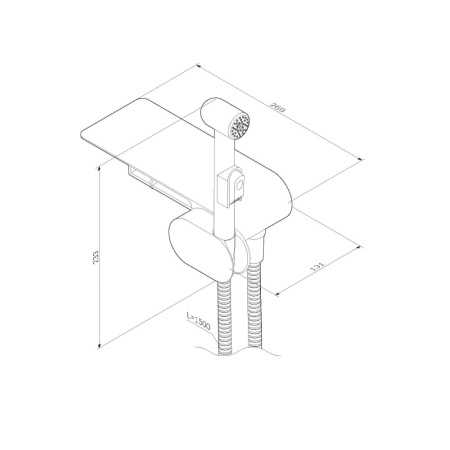 Гигиенический душ со смесителем и полочкой Am.Pm F0202622 фото