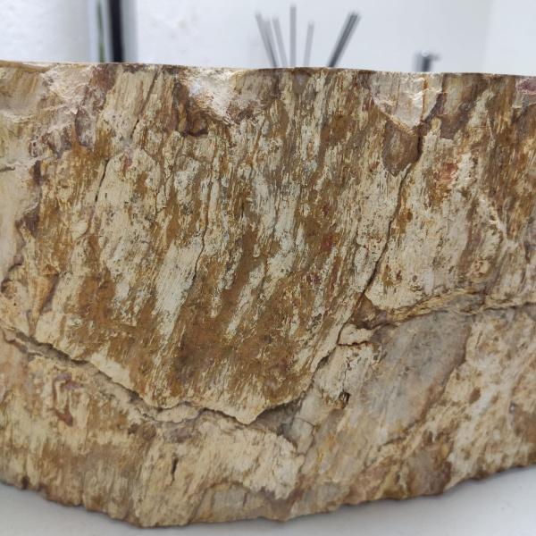 Накладная раковина из окаменелого дерева Fossil Basin OD-01236 (56*44*15) фото