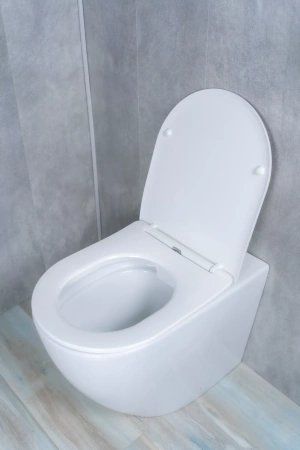 Унитаз приставной Gid TRS-269 фото