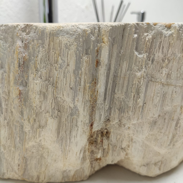 Накладная раковина из окаменелого дерева Fossil Basin OD-01339 (47*38*15) фото