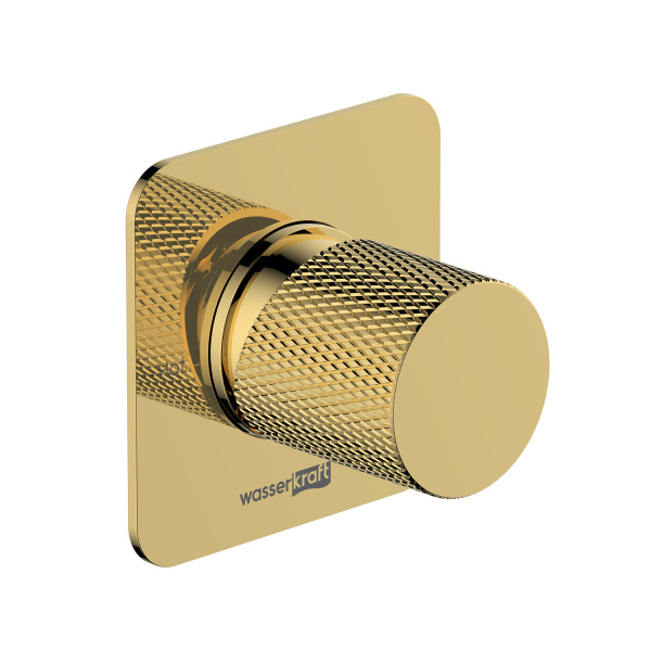 Смеситель для душа WasserKRAFT Ems 7651 глянцевое золото фото