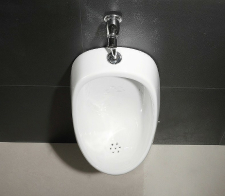 Писсуар кнопочный CeramaLux Х541P кнопочный, слив в стену фото