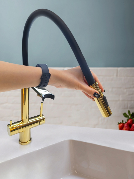 Смеситель для кухни с подключением к фильтру AltroBagno Flusso 050205GI золото фото