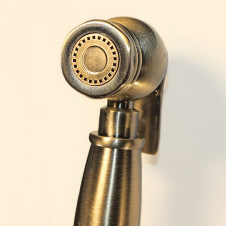 Гигиеническая лейка без смесителя Oute TH TH105Q фото