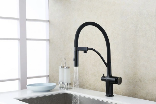 Смеситель для кухни кухни с фильтром для воды Lemark Bronx LM3761BL фото
