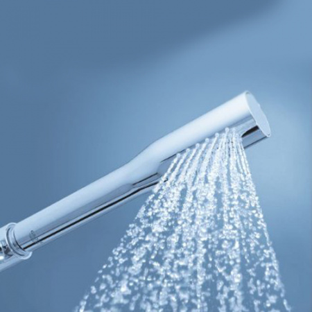Душевая лейка Grohe Euphoria Cosmopolitan 27367000 фото