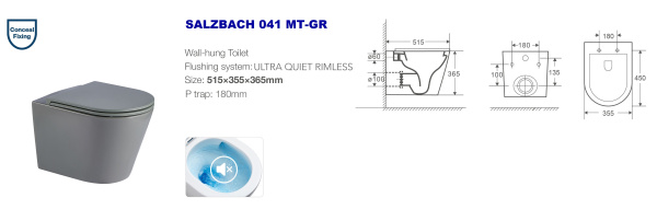 Подвесной унитаз безободковый WeltWasser Salzbach WW SALZBACH 041 MT-GR серый матовый фото