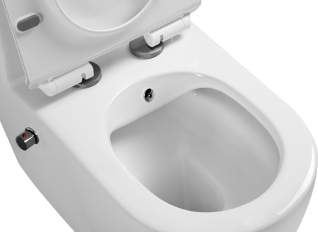 Унитаз напольный безободковый с функцией биде SantiLine SL-5011SM-BD фото