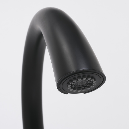 Смеситель для кухни с выдвижной лейкой WasserKRAFT A8667 черный матовый фото