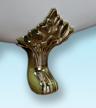 Чугунная ванна Elegansa Taiss gold 180х80 на ножках фото