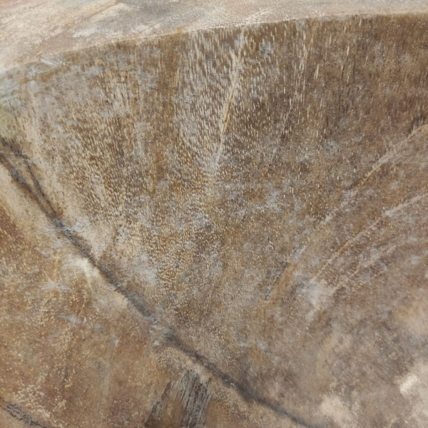 Накладная раковина из окаменелого дерева Fossil Basin OD-01248 (54*53*15) фото