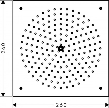 Верхний тропический душ Hansgrohe Raindance 260/260 1jet 26472000 фото