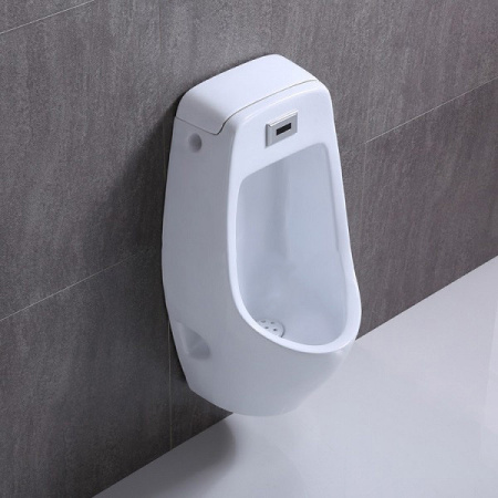 Писсуар сенсорный CeramaLux Х546P слив в стену фото