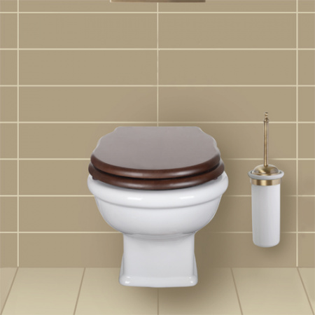 Унитаз подвесной Tiffany World Bristol TWBR51bi фото