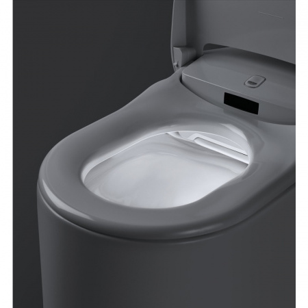 Комплект подвесной унитаз с биде и кнопкой Grohe Sensia Arena 124846 фото