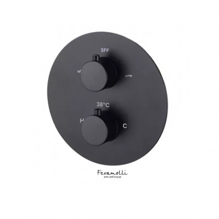 Смеситель термостатический скрытого монтажа Feramolli BL607T2W фото