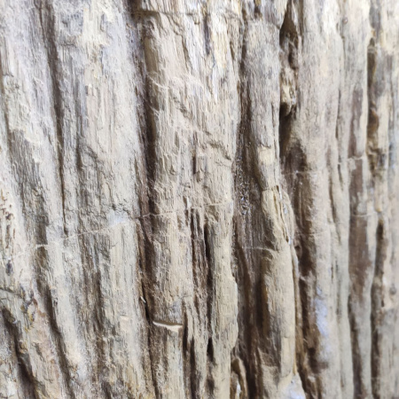 Раковина напольная из окаменелого дерева ODN-01499 (68*55*90) фото