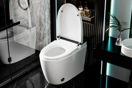 Электронный унитаз-биде Abber Bequem AC1116S фото