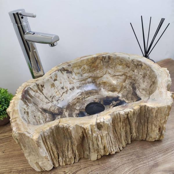 Накладная раковина из окаменелого дерева Fossil Basin OD-01125 (49*35*15) фото