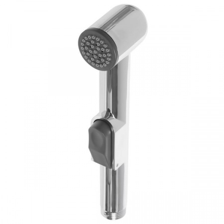 Гигиеническая лейка без смесителя Ganzer GZ20 GZ 2024 фото