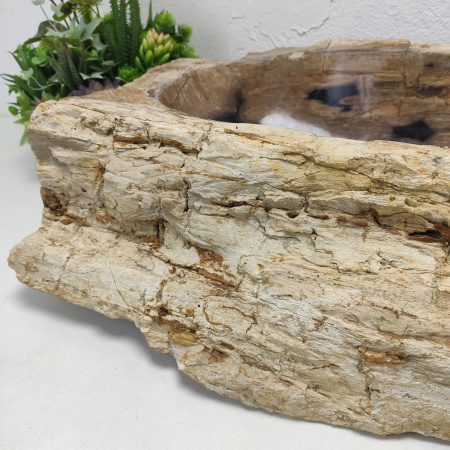 Накладная раковина из окаменелого дерева Fossil Basin OD-01333 (87*44*17) фото