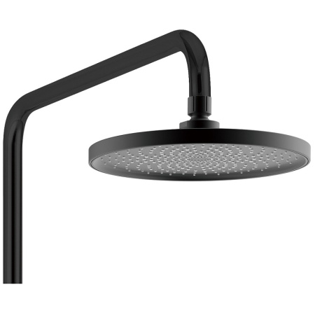 Душевая система (стойка) WeltWasser WW DP 1020 BL черная фото