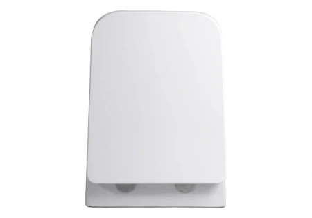 Унитаз подвесной Aquatek Амадео AQ1163-00 с сиденьем фото