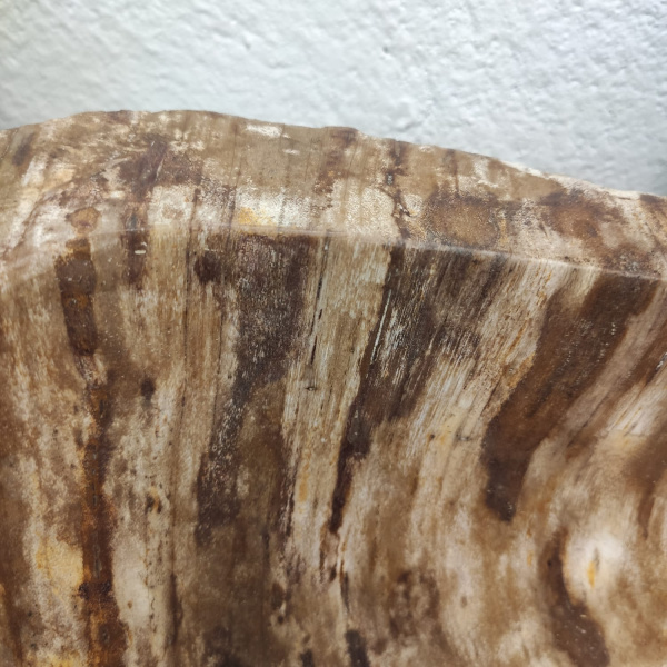 Накладная раковина из окаменелого дерева Fossil Basin OD-01244 (37*33*15) фото