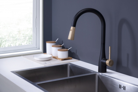 Смеситель для кухни D&K Rhein Schiller DA1462517A черный/золото фото