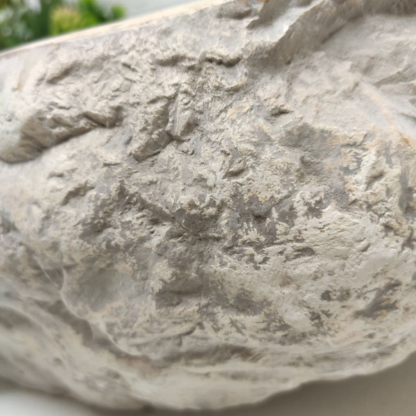 Накладная раковина из окаменелого дерева Fossil Basin OD-01304 (55*38*15) фото