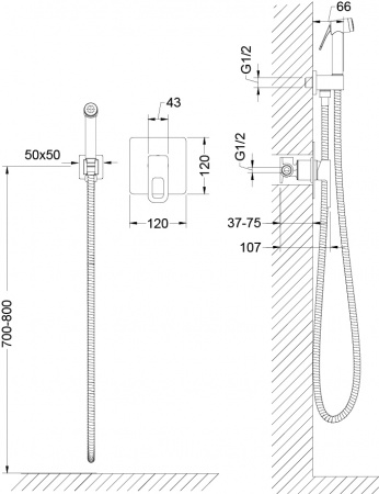 Гигиенический душ со смесителем Timo Sahara 2080/00SM фото