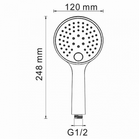Душевая лейка WasserKRAFT Sauer A207 глянцевое золото фото