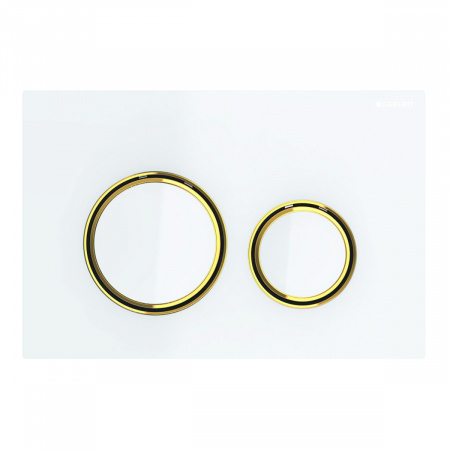 Смывная клавиша Geberit Sigma 21 115.652.SI.1 фото