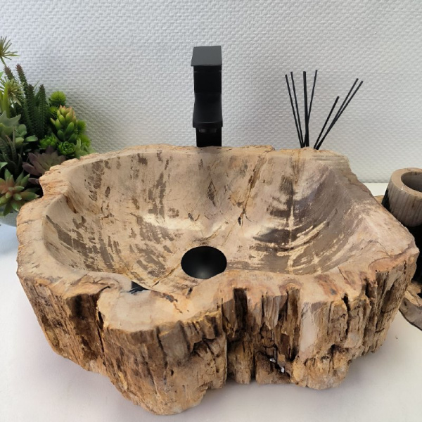 Накладная раковина из окаменелого дерева Fossil Basin OD-02467 45x38 фото