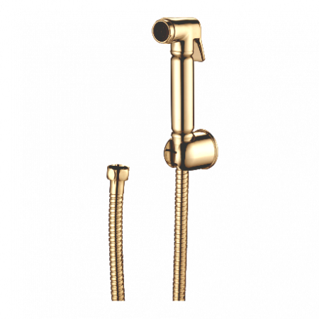 Гигиеническая лейка без смесителя Ganzer GZ21 GZ 2111E set фото