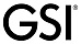 GSI GSI