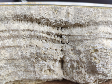 Раковина из оникса Indo Erozy Green XL EO-00057 фото