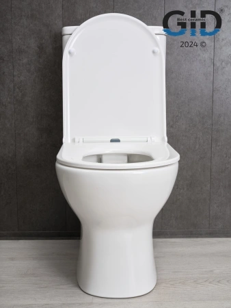 Унитаз напольный безободковый GID Tn2123 с сиденьем фото
