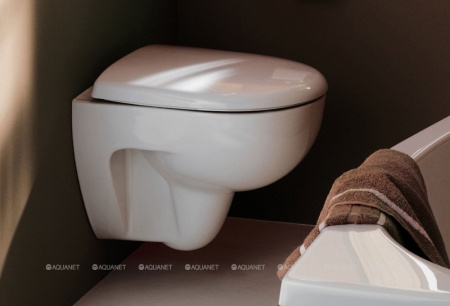 Унитаз с инсталляцией Geberit Renova 500.124.TC.R фото