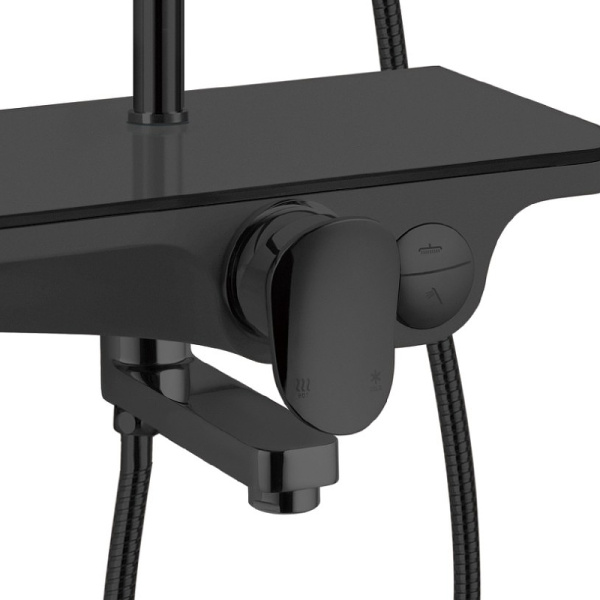 Душевая система (стойка) WeltWasser WW DP 1020 BL черная фото