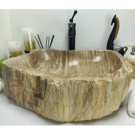 Раковина из окаменелого дерева Indo Fossil Basin OD-00410 фото