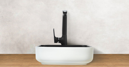 Накладная раковина WeltWasser Elbach ELBACH M2195 WB фото