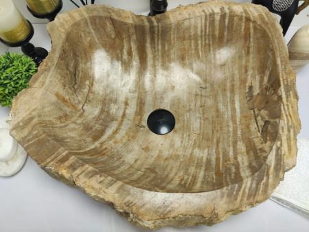 Раковина из окаменелого дерева Indo Fossil Basin OD-00410 фото