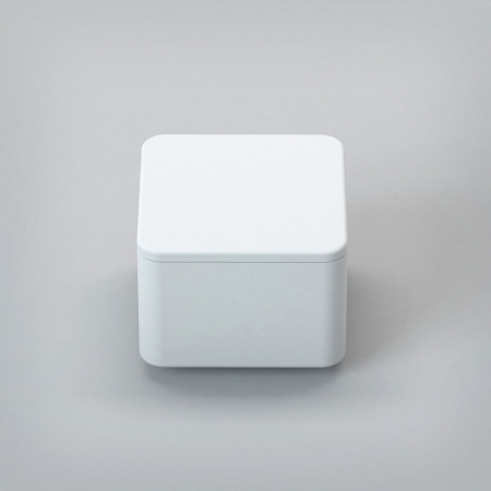 Бокс с крышкой Cezares Titan TITAN-SQUARE-SCAT фото