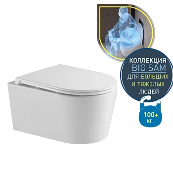 Унитаз подвесной безободковый (торнадо) для людей с крупной комплекцией DQ Schille DT1466516 с сиденьем фото