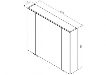 Зеркало-шкаф Aquanet Алвита 100 00240113 фото