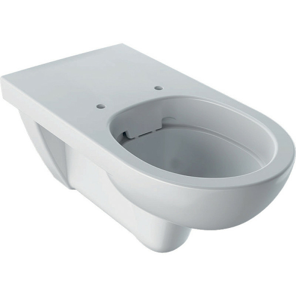 Подвесной унитаз для инвалидов Geberit Selnova Comfort 500.262.01.1 фото