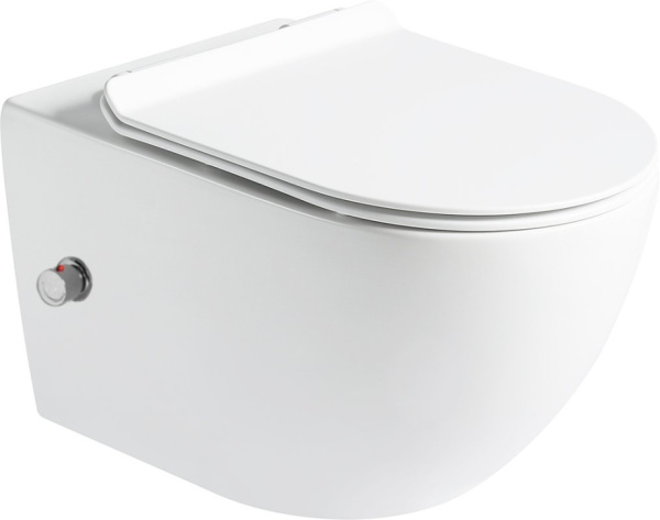 Подвесной унитаз со смывом торнадо и функцией биде SantiLine SL-5002T-SM/BD фото