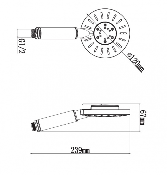 Душевая лейка Omnires Nevada NEVADA-RBL черный фото