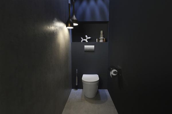 Унитаз приставной Jacob Delafon Rodin+ EDAA102-00 фото